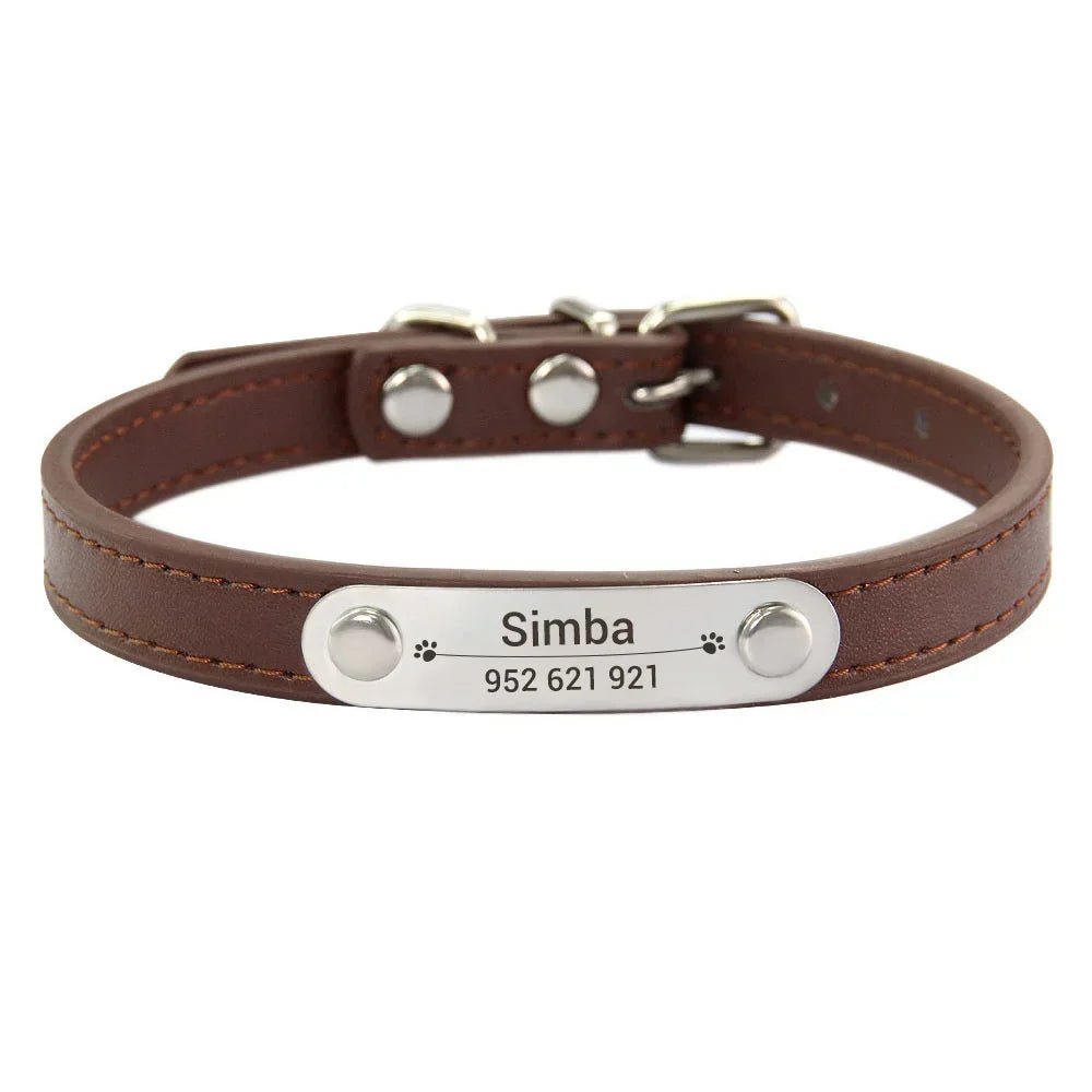 Collier chiot 3 mois brun