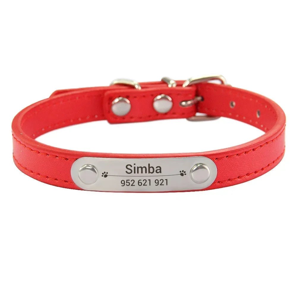 Collier chiot 3 mois rouge