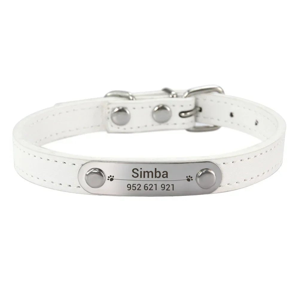 Collier chiot 3 mois blanc