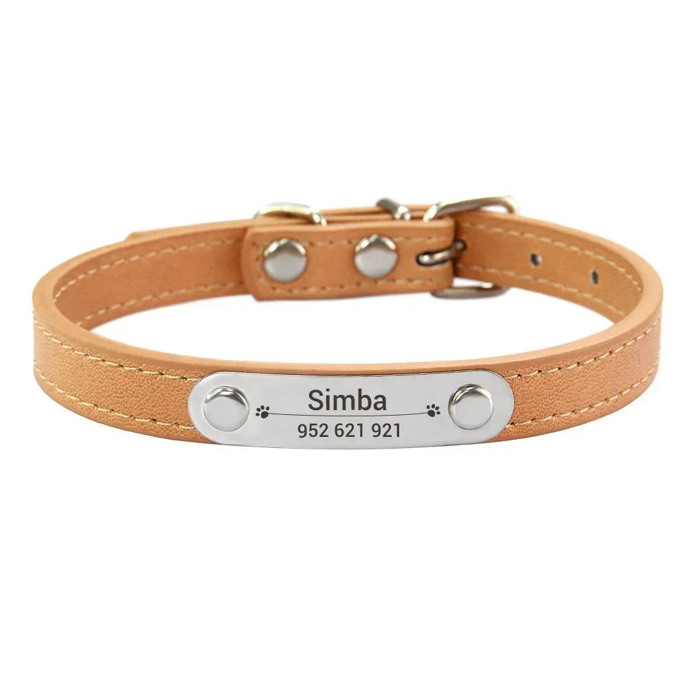 Collier chiot 3 mois brun claire