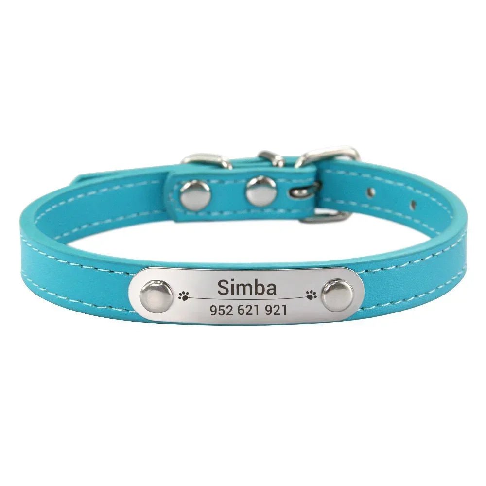 Collier chiot 3 mois bleu fuchsia