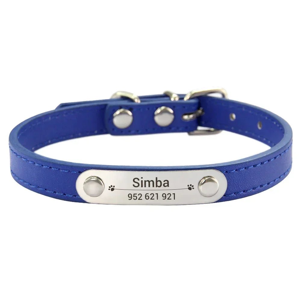 Collier chiot 3 mois bleu foncé