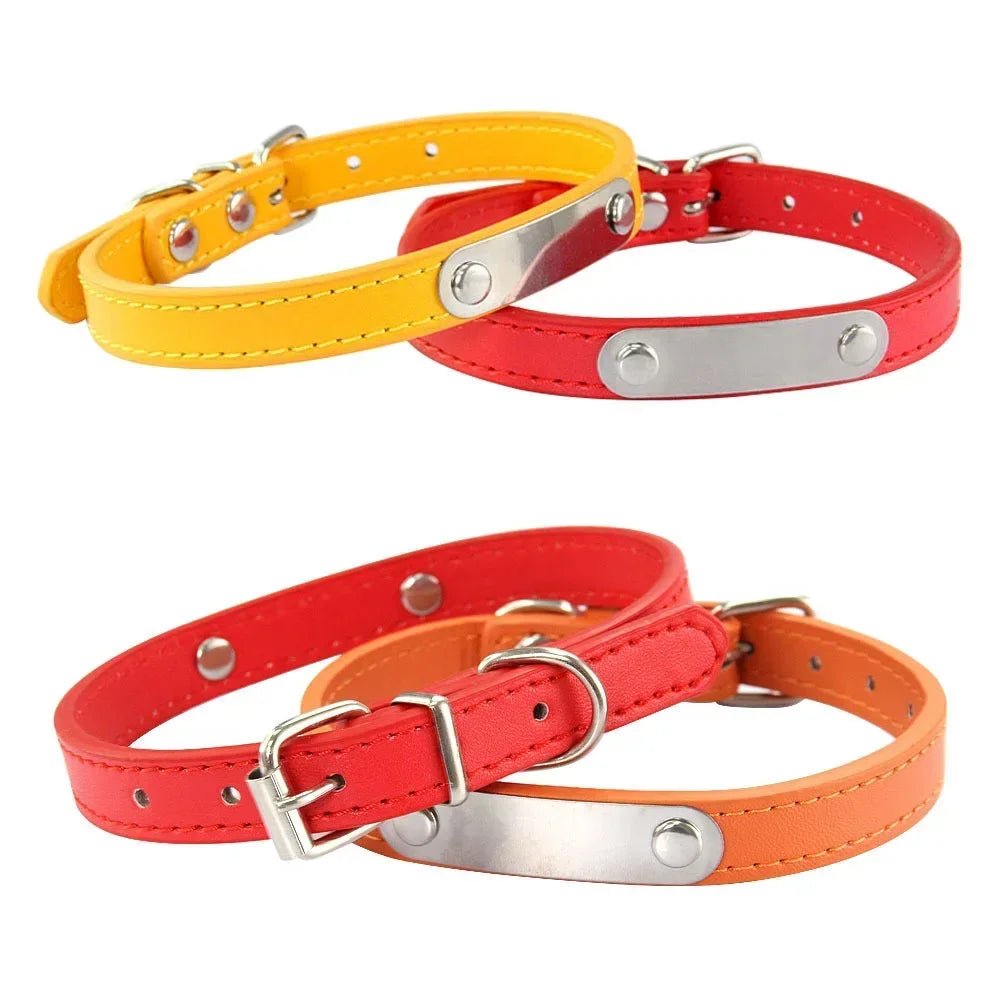 Collier chiot 3 mois couleurs différentes 
