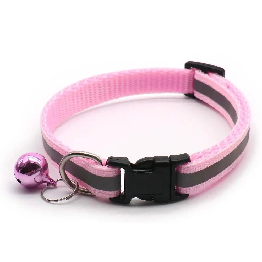 Collier chiot 4 mois rose claire