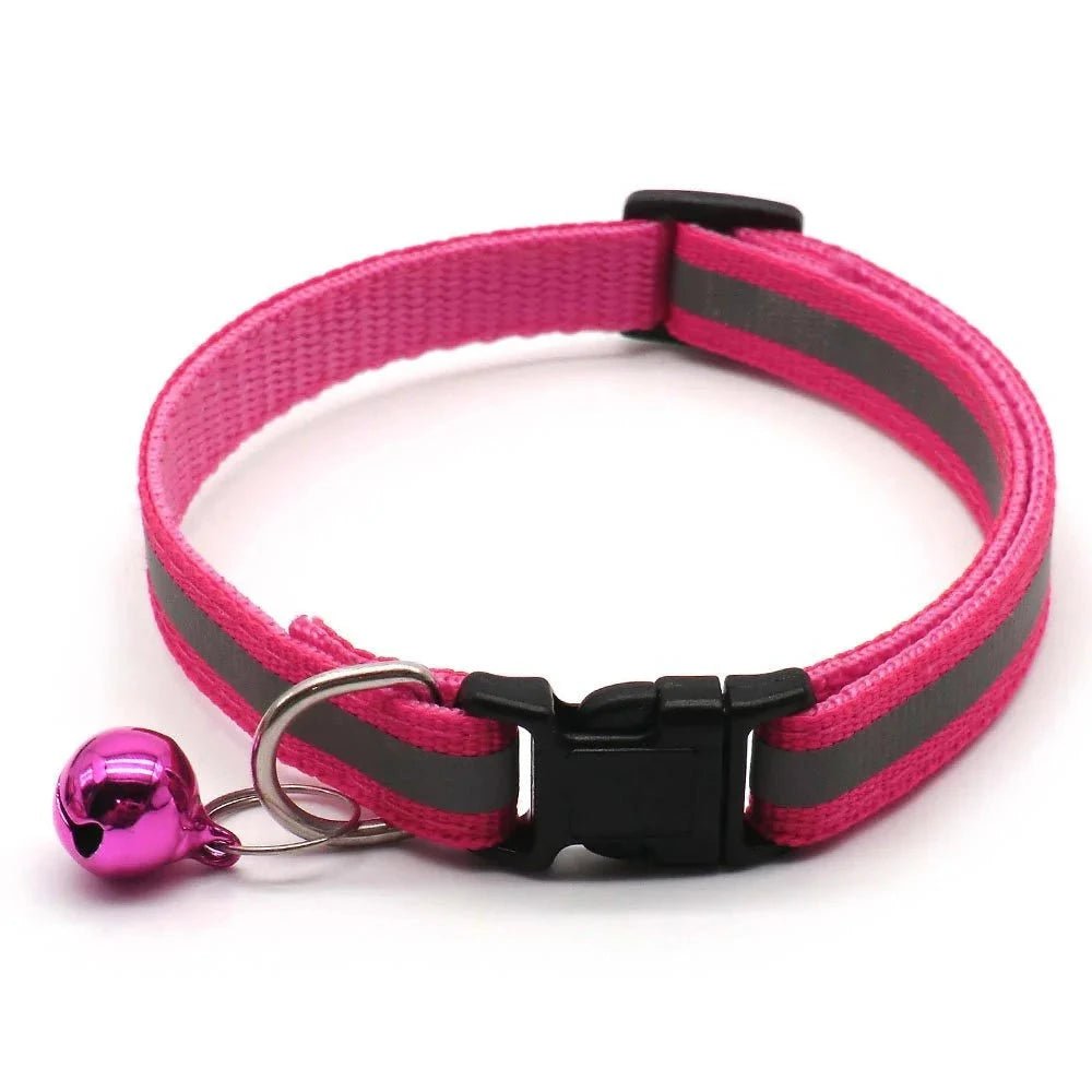 Collier chiot 4 mois rose