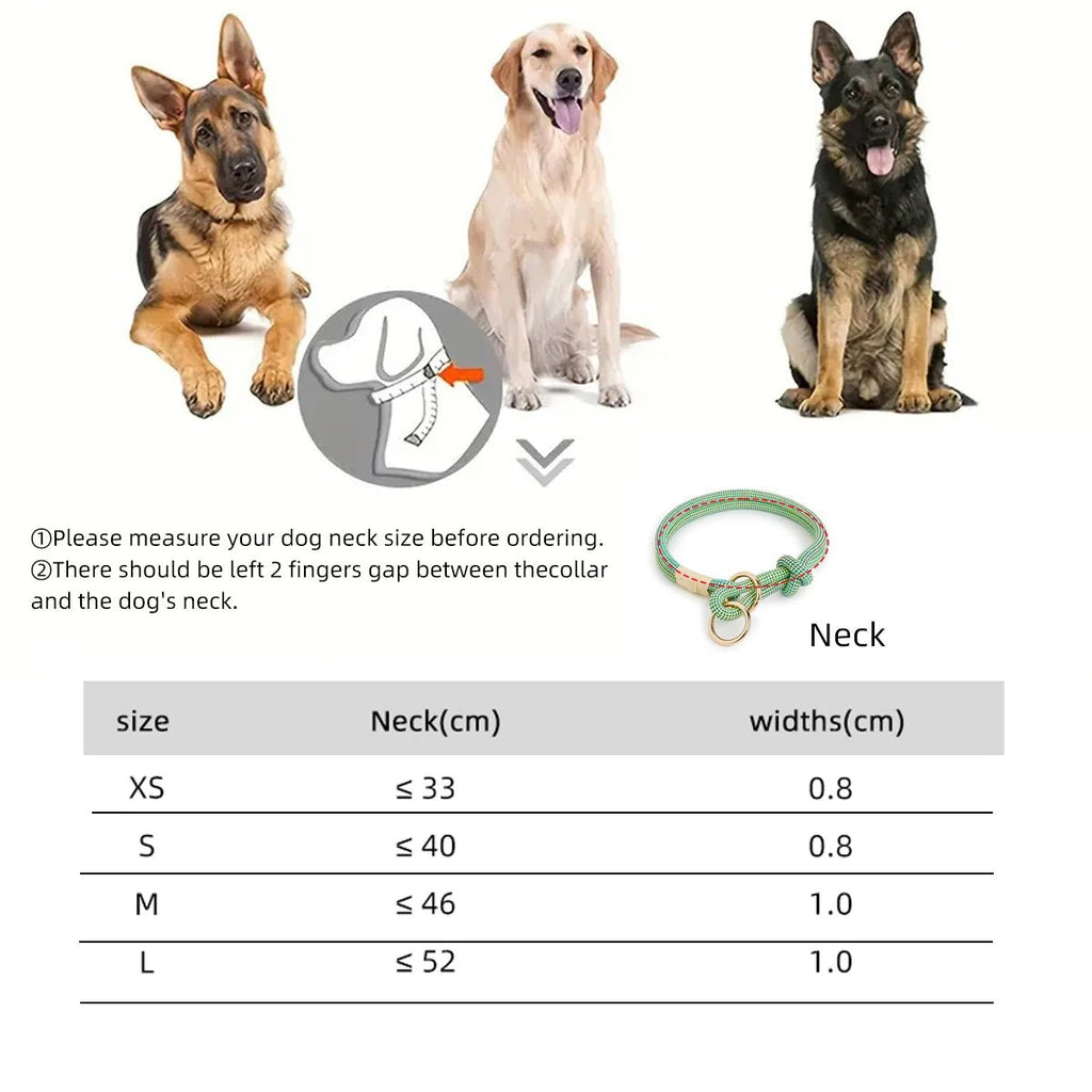 Collier chiot beagle de couleur vert avec un tableau des dimensions total 