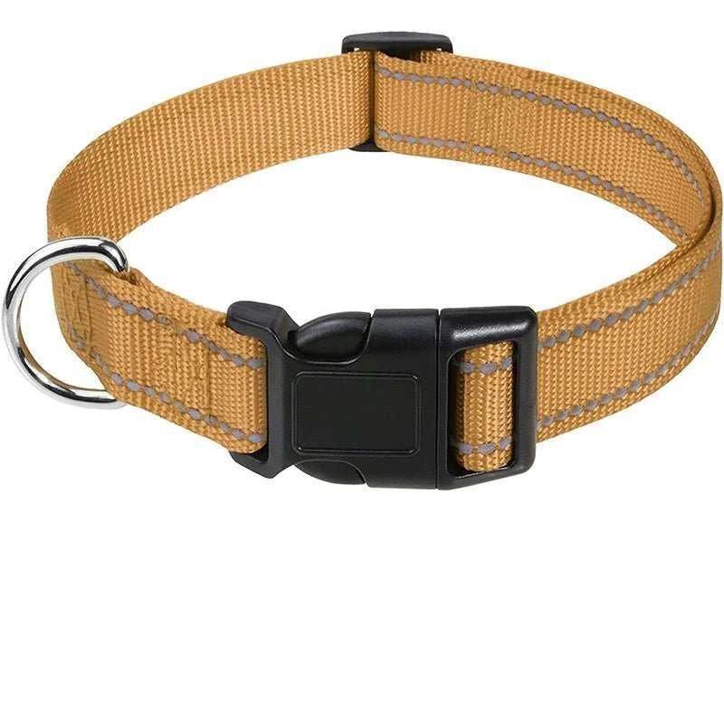 Collier chiot femelle de couleur marron et noir et lumineux de boutiquechien 