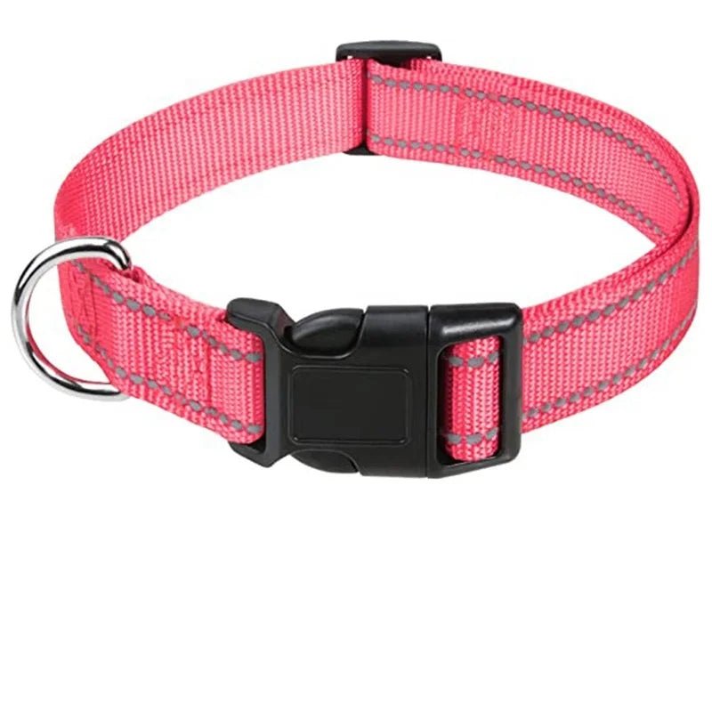 collier chiot pour femelle de couleur rose et noir dans un fond blanc. Image produit Boutiquechien
