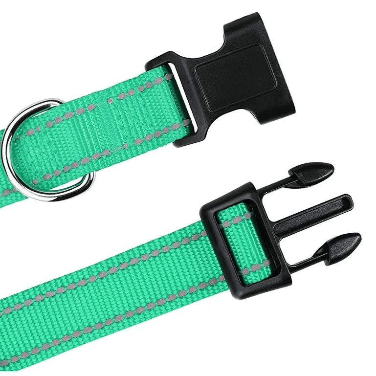 Collier vert avec attache noir dans un fond blanc de boutiquechien