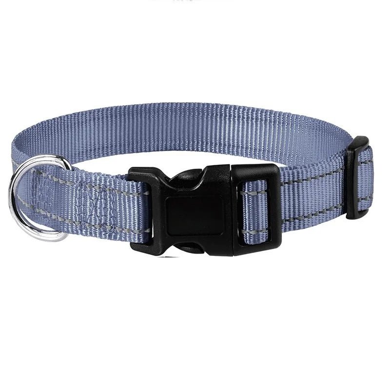 collier pour femelle de couleur gris et noir mis en avant de boutiquechien