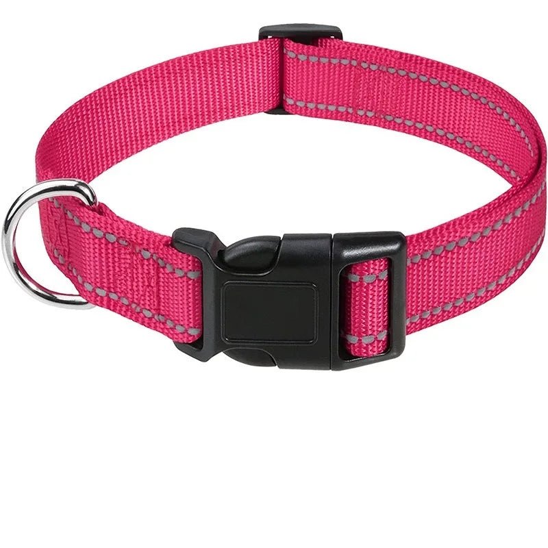 collier pour femelle de couleur rose et noir dans un fond blanc. Image produit Boutiquechien