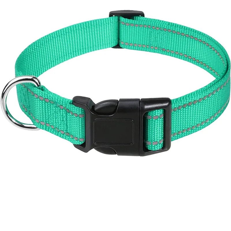 collier chiot femelle de couleur turquoise et noir de boutiquechien