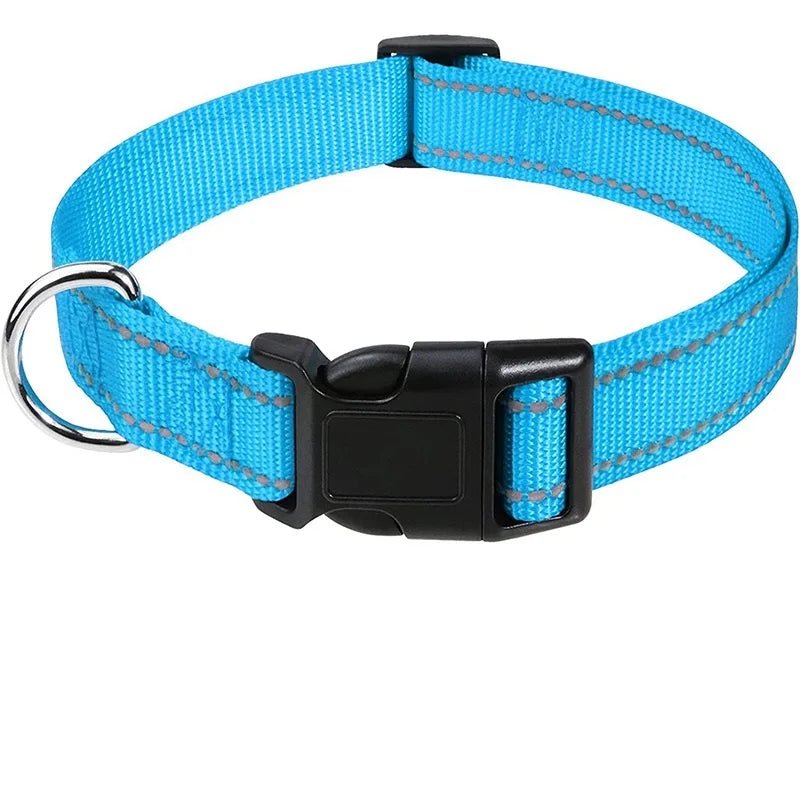 Collier chiot femelle de couleur bleu et noir dans un fond blanc de boutiquechien