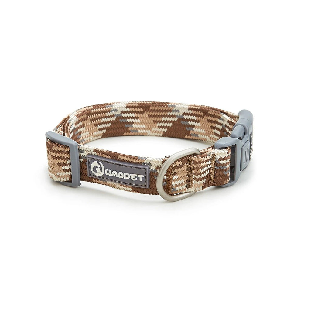 Collier chiot jack russel avec un collier pour chiot de couleur brun
