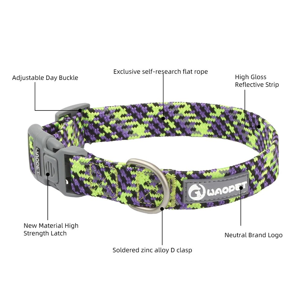 qualités du collier pour chiot de boutiquechien violet et vert