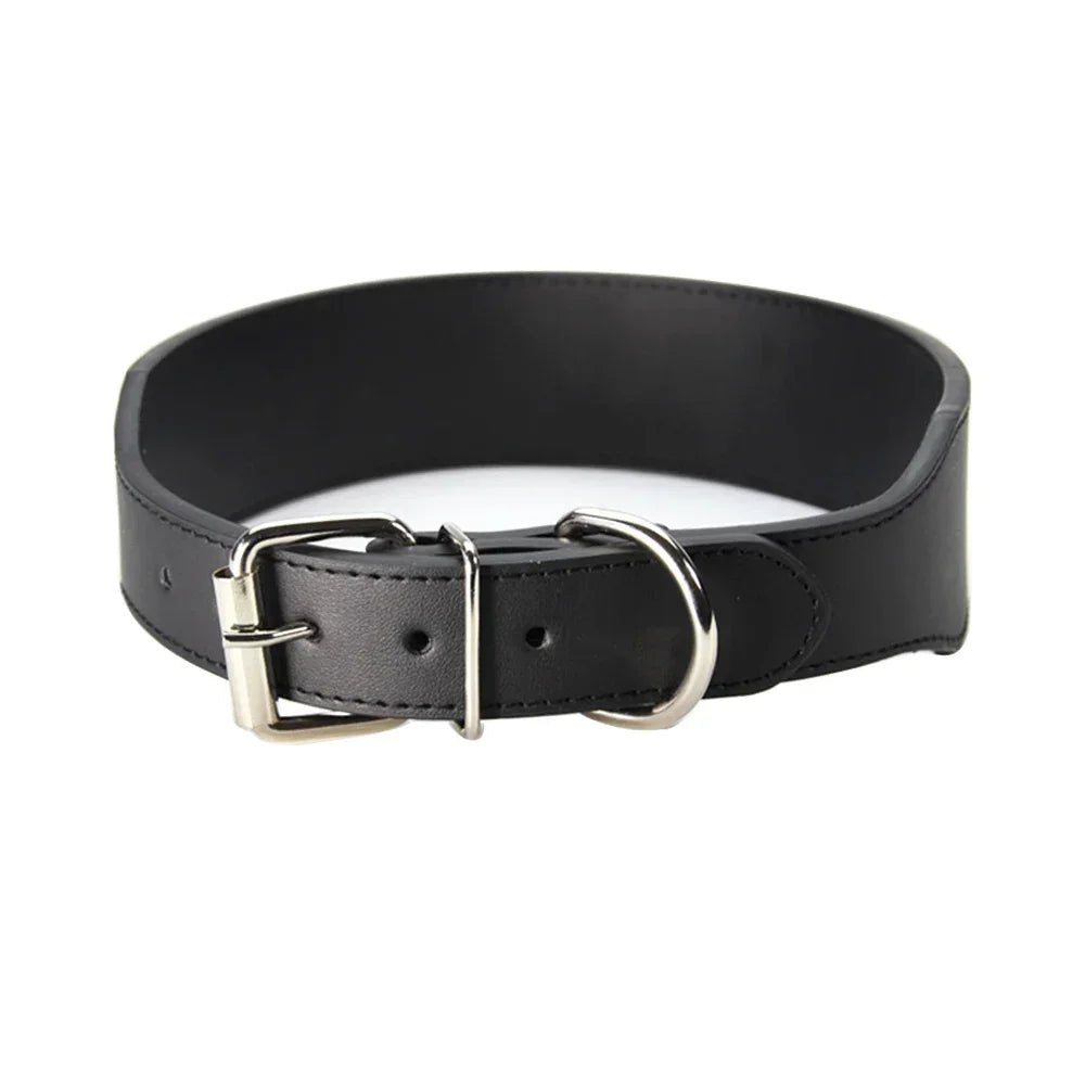 Collier chiot pas cher attache arrière