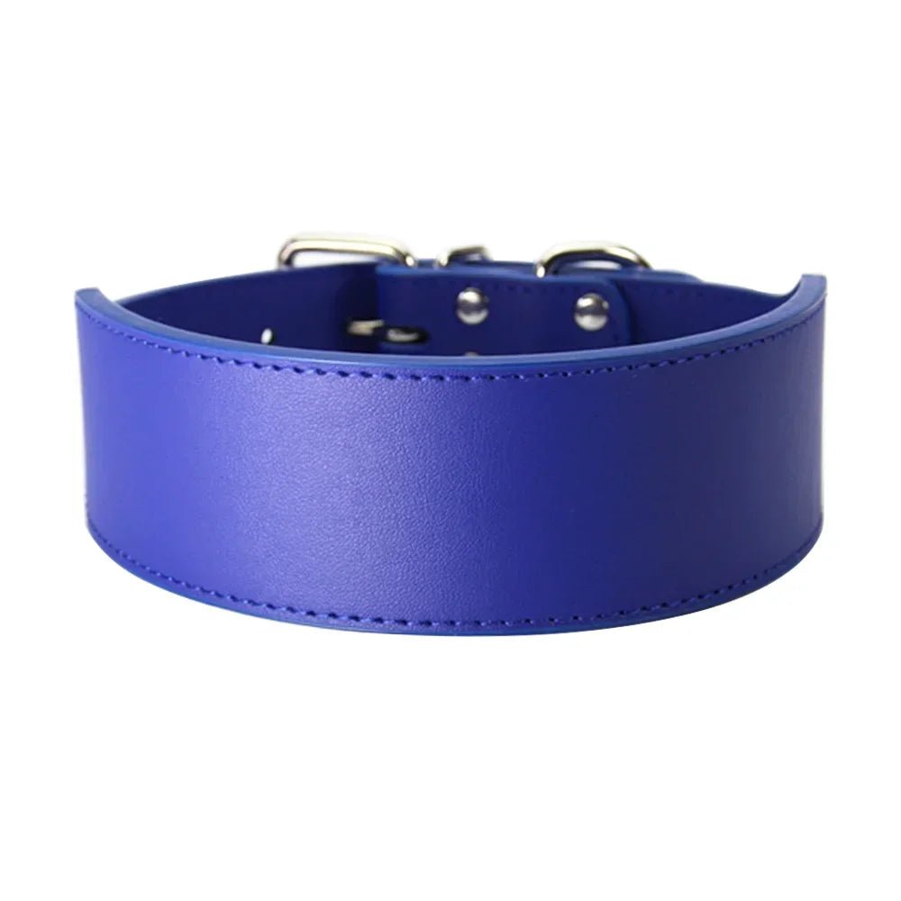 Collier chiot pas cher bleu