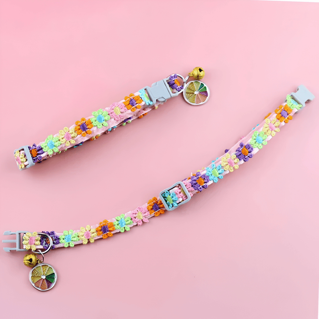 Collier chiot pour femelle