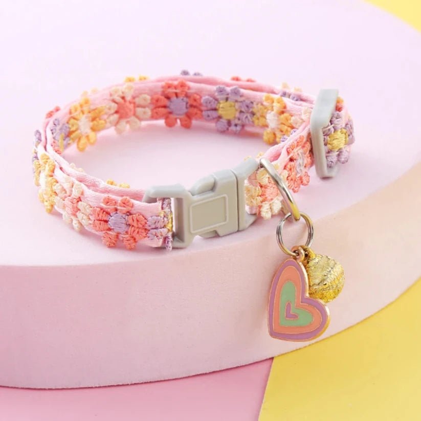 Collier chiot pour femelle
