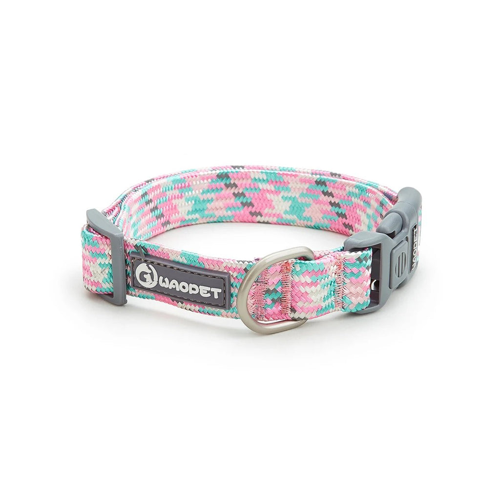 Collier chiot réglable de couleur rose et bleu avec les plastiques gris posé dans un fond blanc