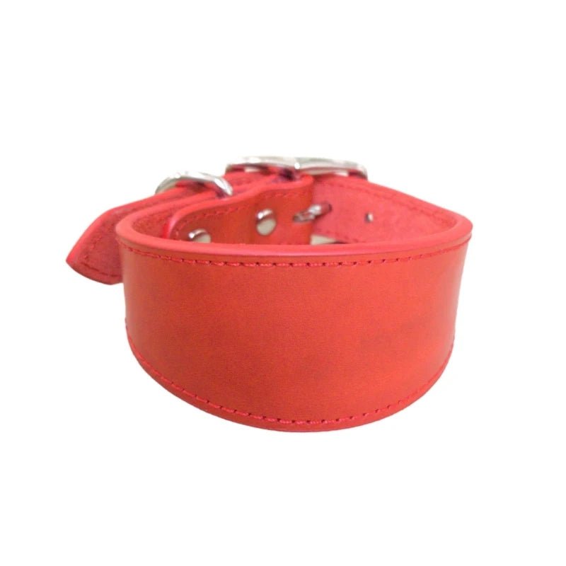 collier chiot whippet de couleur rouge