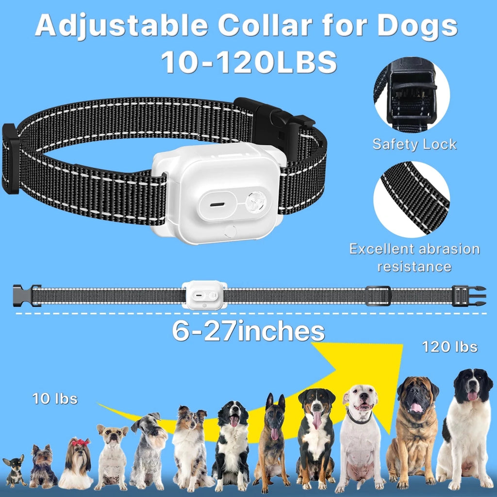 Collier citronnelle pour chien dimensions du produit 