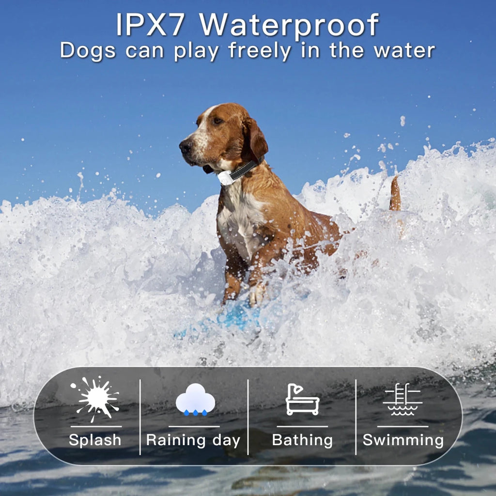 Collier citronnelle pour chien waterproof