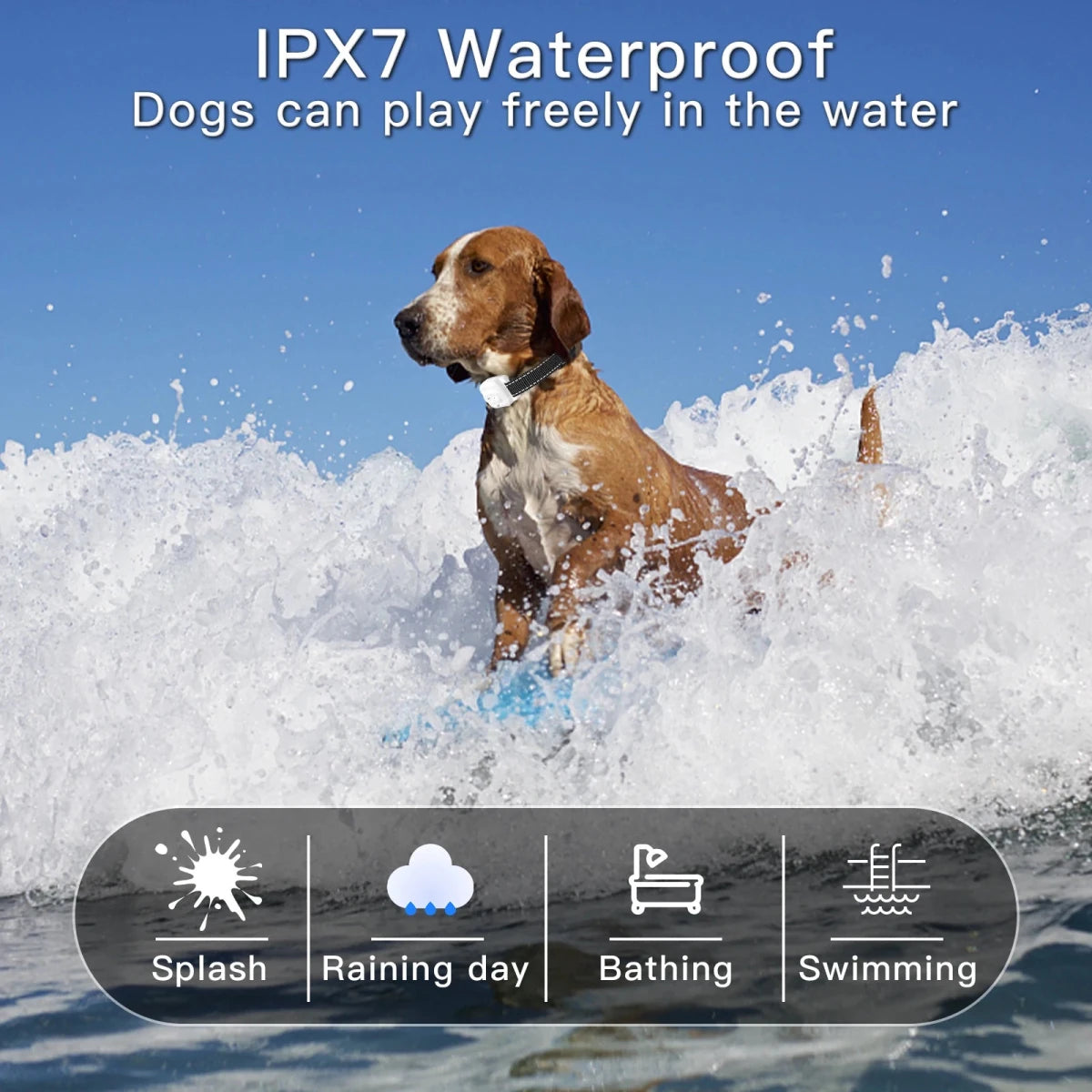 Collier citronnelle pour chien waterproof