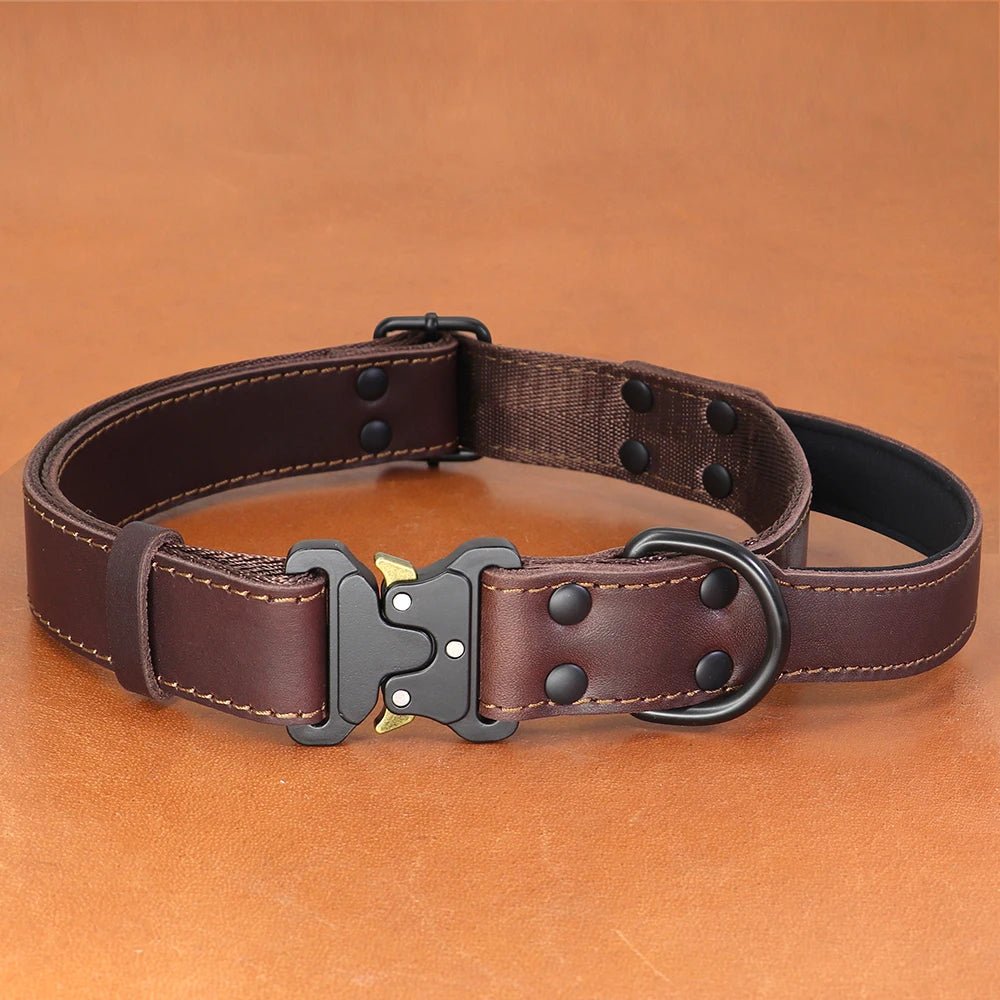 Collier cuir chien avec poignée dans un fond orange