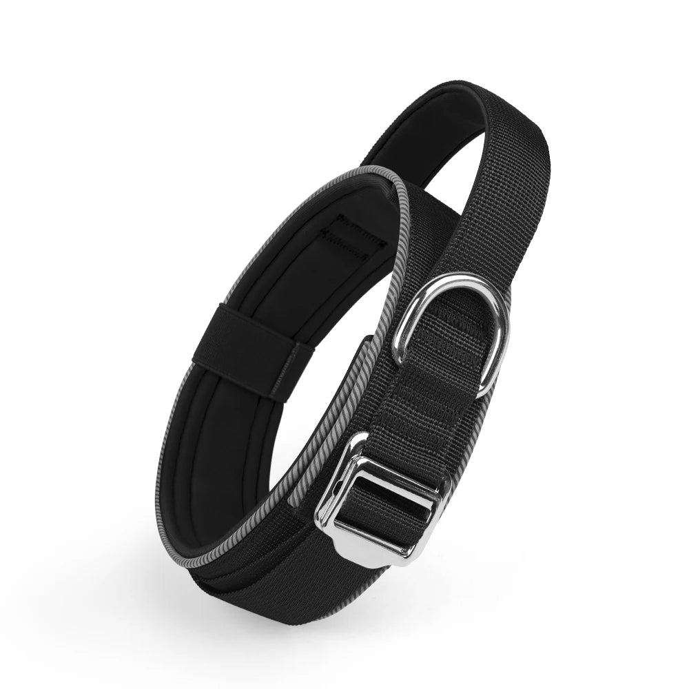 Collier de dressage chiot de couleur noir et gris