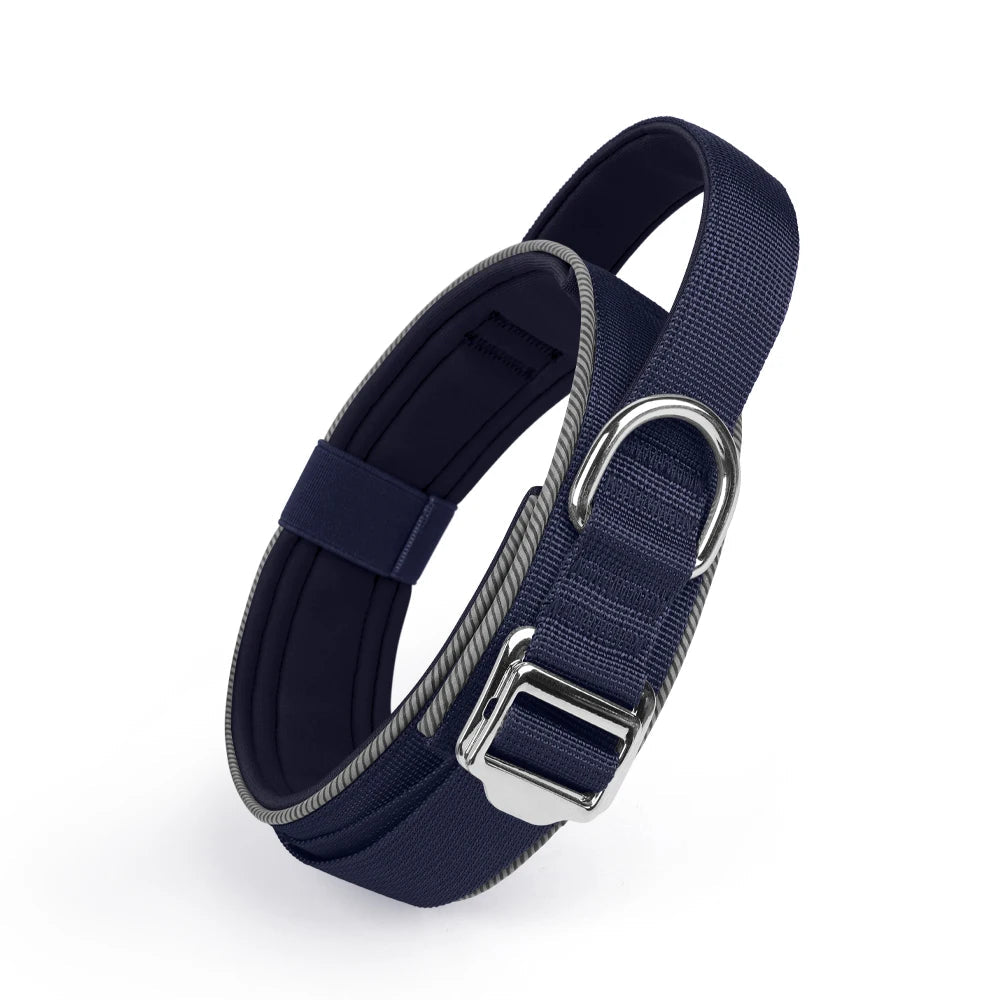 Collier de dressage chiot de couleur bleu foncé et gris