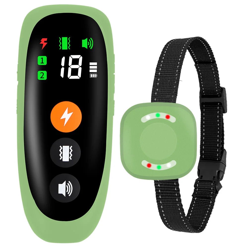 Collier de dressage pour chien 800m vert