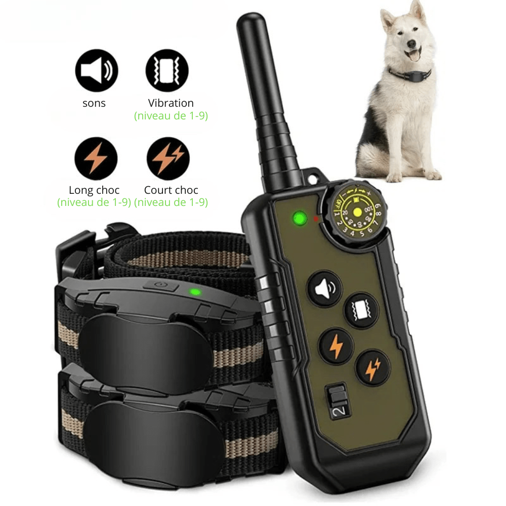 deux colliers chien parfait pour l'apprentissage de votre chien. Le collier possède plusieurs modes pour mieux gérer votre chien. Image produit Boutiquechien
