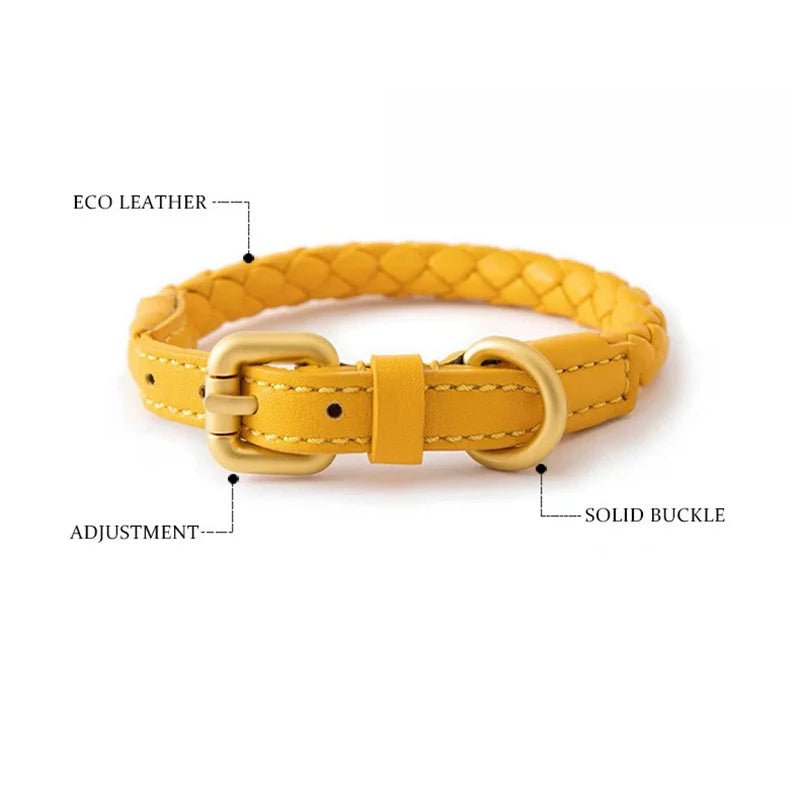 Collier en cuir rond pour chien avantages produit 