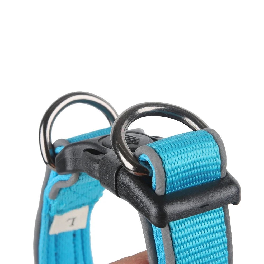 Collier anti-fugue pour chien de couleur bleu. Image produit Boutiquechien