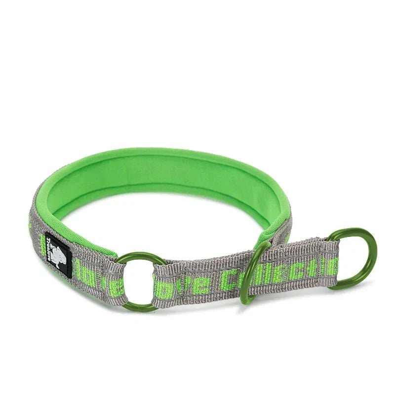 collier pour chien étrangleur de couleur vert et gris avec comme écriture en vert 'trulove". Image produit Boutiquechien 
