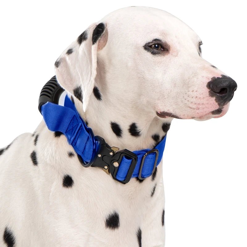 Collier gros chien avec poignée porté par un dalmatien de couleur blanc et noir 