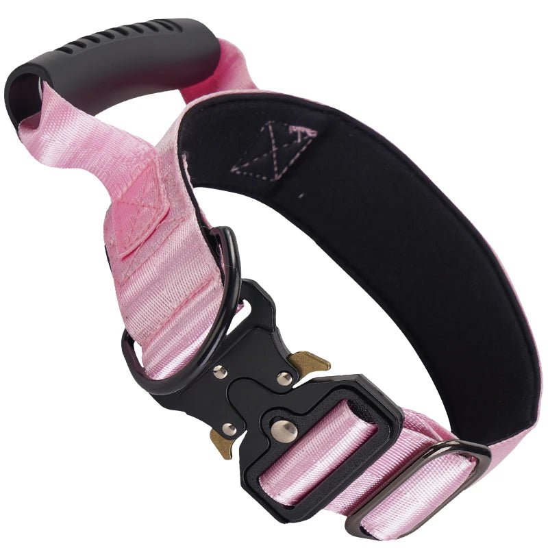 Collier gros chien avec poignée rose 