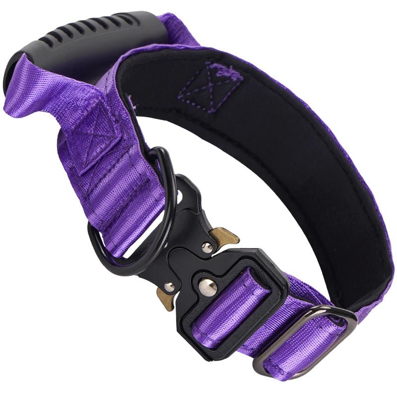 Collier gros chien avec poignée violet 