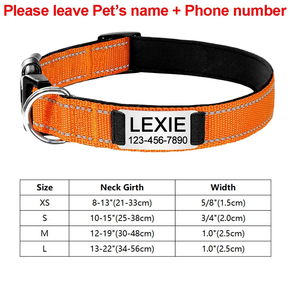 Collier identification chiot orange dimensions