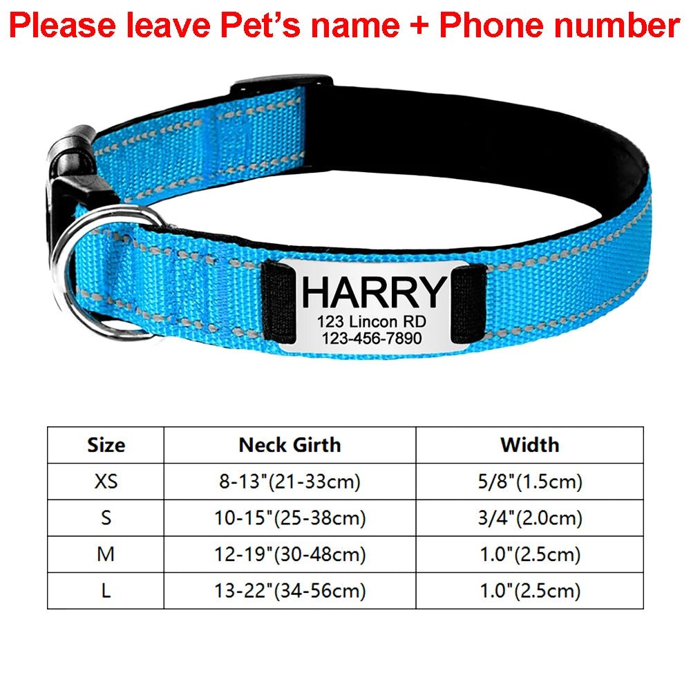 Collier identification chiot bleu claire