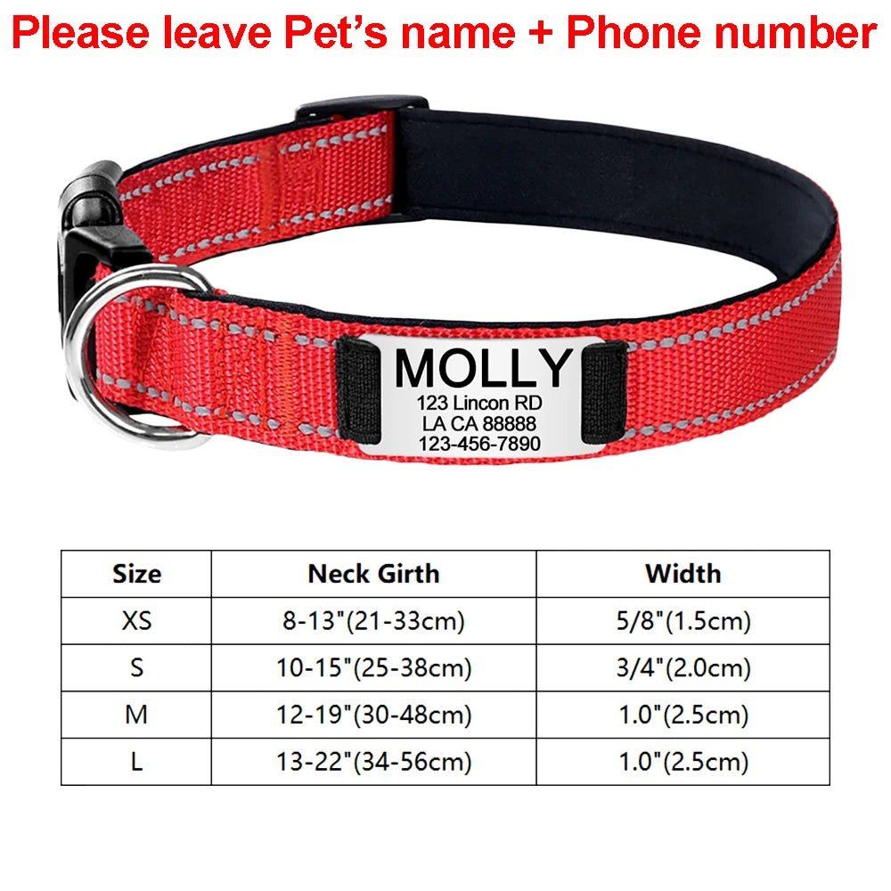 Collier identification chiot rouge