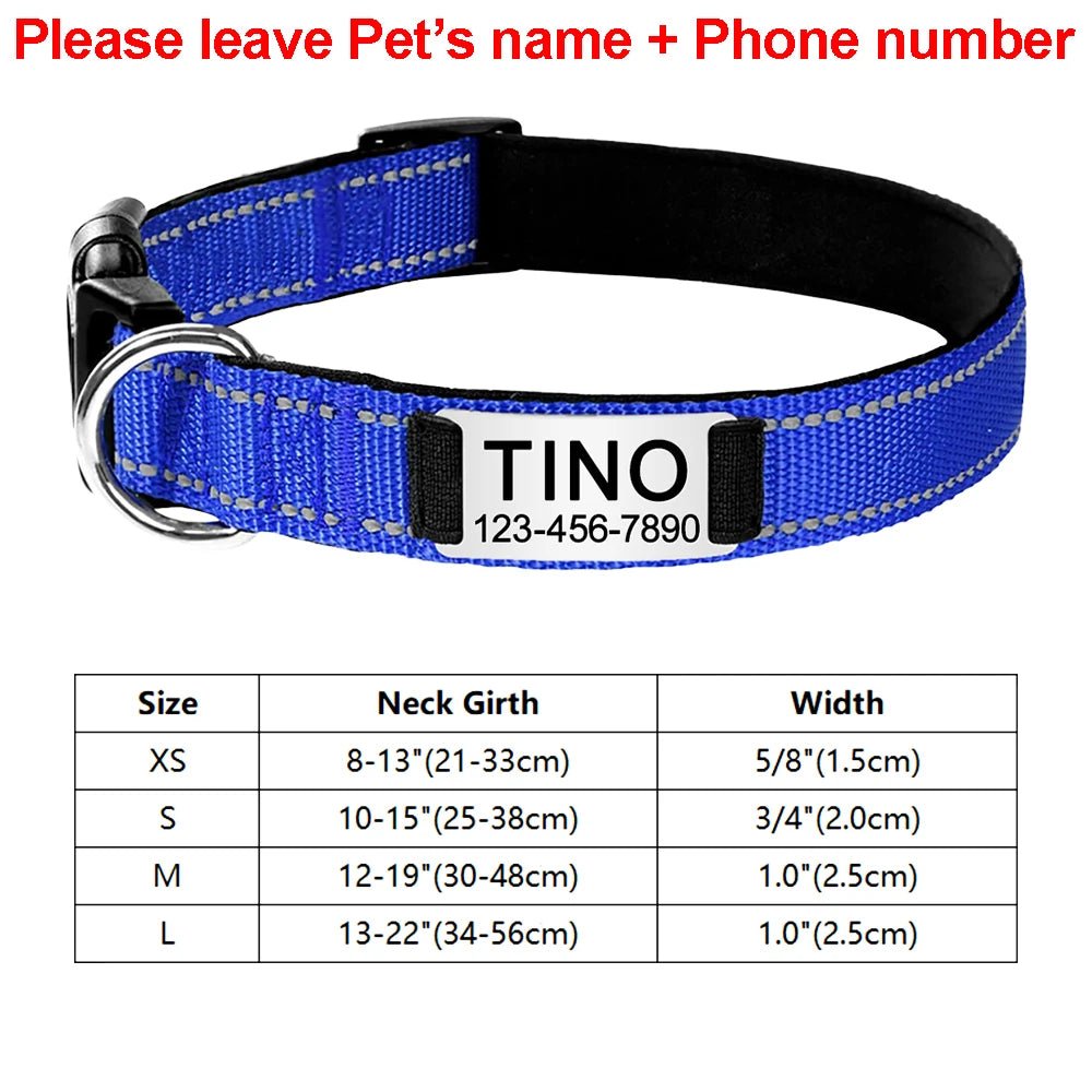 Collier identification chiot bleu