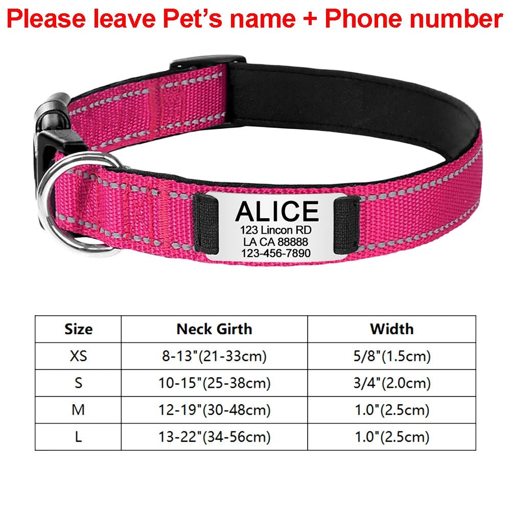 Collier identification chiot rose claire