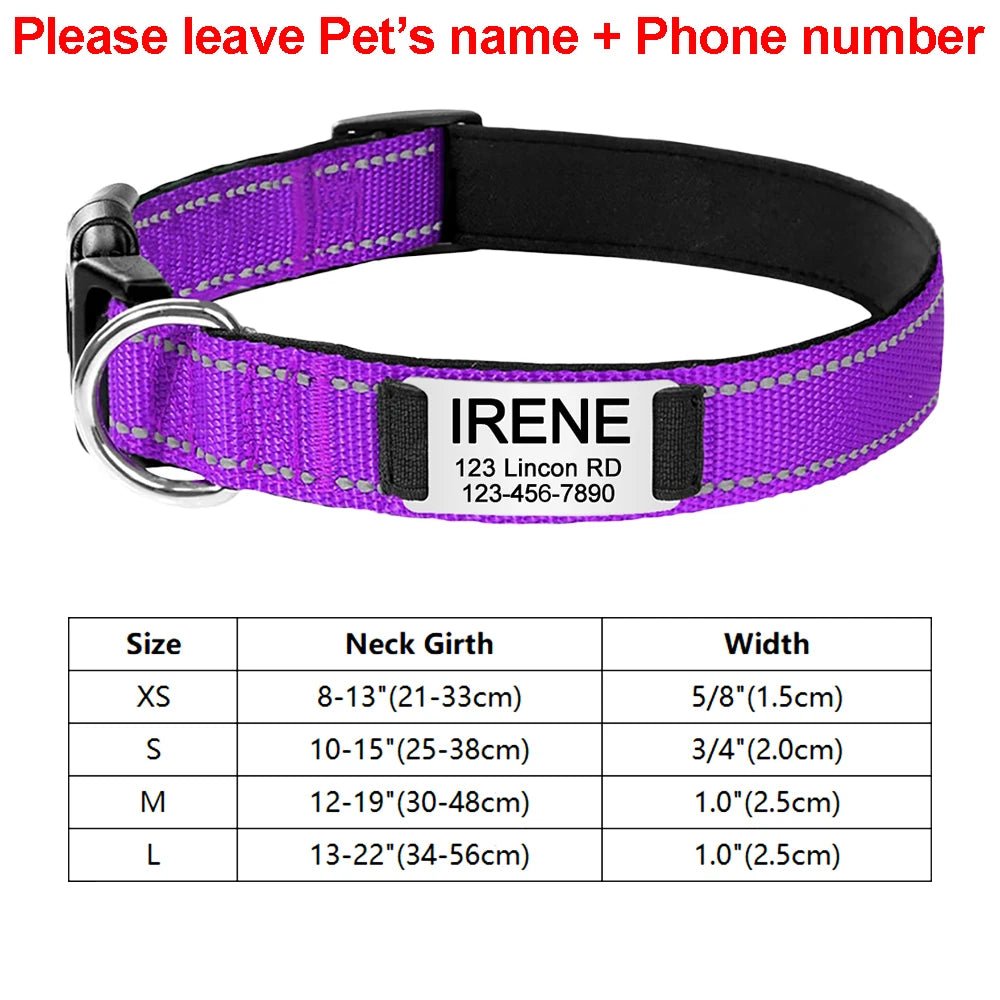 Collier identification chiot violet
