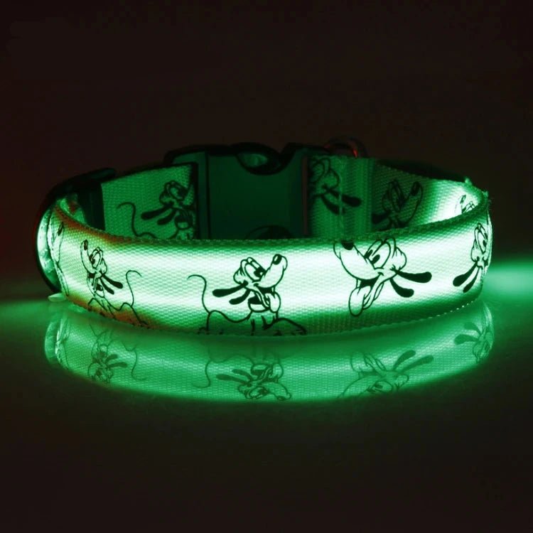 collier chien lumineux vert. Le collier est parfait pour voir de nuit son chien. Image produit Boutiquechien