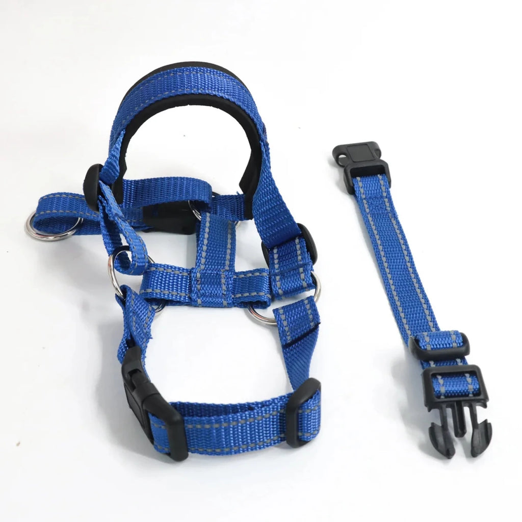 Collier licol pour chien bleu produit 