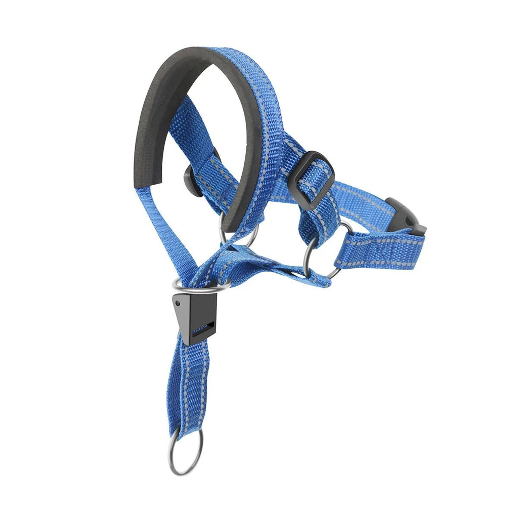 Collier licol pour chien bleu