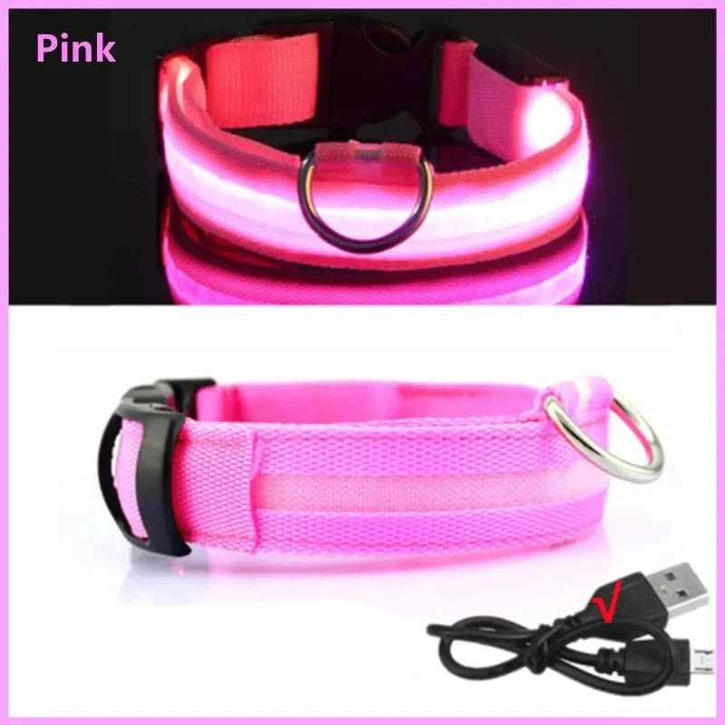 Collier lumineux chien poil long de couleur rose