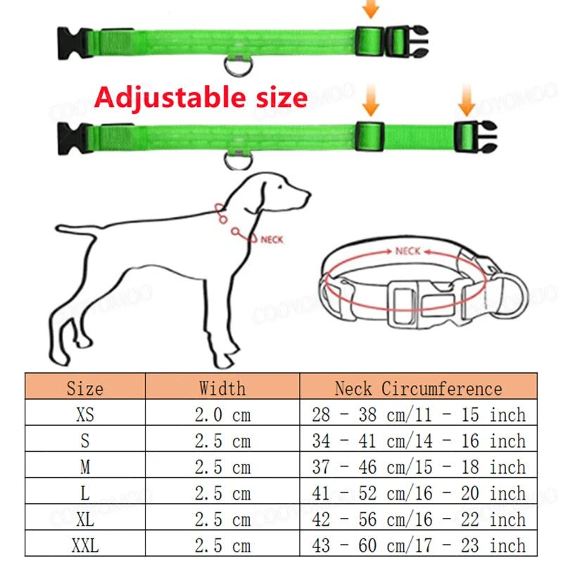 Collier lumineux chien poil long dimensiosn total 
